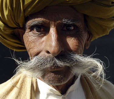 A guide to hirsute Hindustan