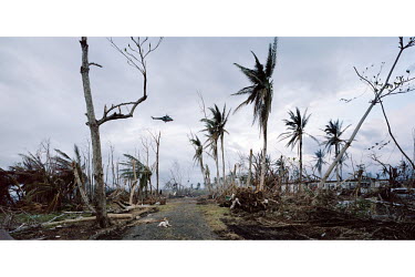 Typhoon Haiyan