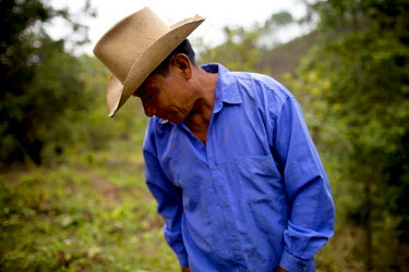 Guatemala’s Green Hunger