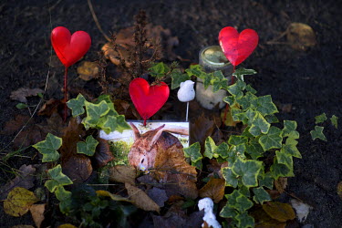 Pet Cemetery