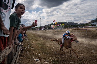 Child Jockeys in Sumbawa