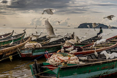 Lake Victoria, Slowly Dying