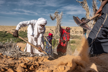 Saving the Sahara’s Oases