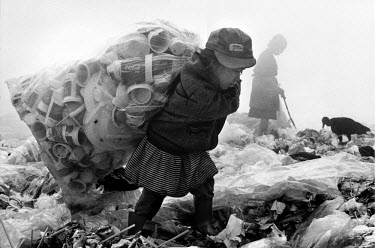 Child labour: Dozens of abandoned street kids live and work in the city's huge rubbish dump, collecting materials that can be reused. This girl is collecting plastic.