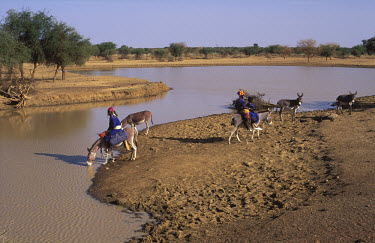 Bella women letting their donkeys drink from the river.