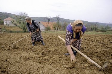 Rebuilding after the war. LWF-funded agricultural projects in Kovacevici.