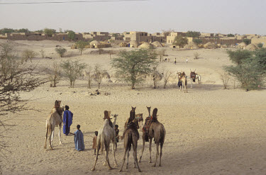 Tuareg traders on camels outside the ancient city, deep in the desert.