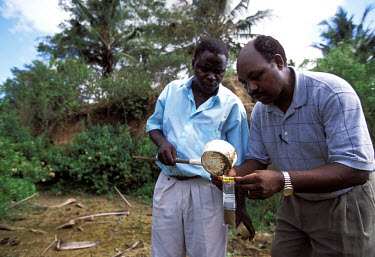 Malaria research: Charles Mbogo and Gabriel Nzai collect mosquito larvae from pools.