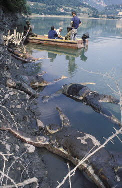 The decomposing bodies of murdered civilians dumped in the Drina river, some tied together with barbed wire. A boat tries to collect and identify the bodies. Many of the dead came from the Foca area....