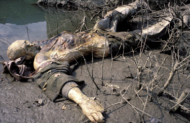 The decomposing bodies of murdered civilians dumped in the Drina river, some tied together with barbed wire. Many of the dead came from the Foca area. War crimes.