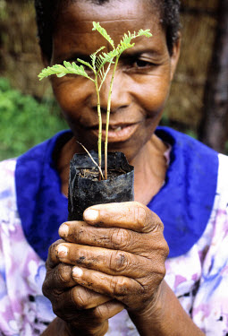 Woman with a seedling, part of an NGO-funded reforestation project.
