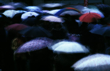 A blur of umbrellas on a rainy day during the typhoon season.