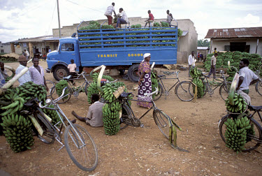 Transporting bananas by truck and bicycle.