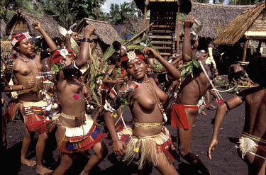 Yam harvest festival - women do a tapioca dance after carrying yams. Kiriwina.
