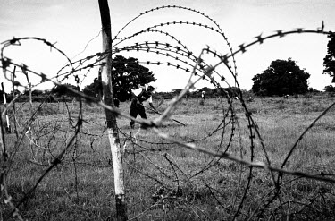 Demining former Sri Lankan Army positions.After decades of civil war, a ceasefire agreement was signed between the government and the Tamil Tiger rebels in February 2002. Despite the devastation wrou...