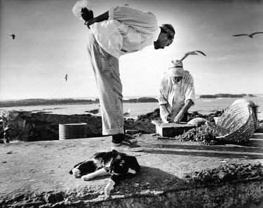 Fishermen cleaning fish as a cat relaxes in anticipation of eating the scraps.
