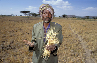 A desperate farmer, Muhammad Hussein, in the village of Dir Fekar, with a handful of immature wheat.
