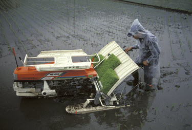 Small rice planting machine being used in Shirakiyama.