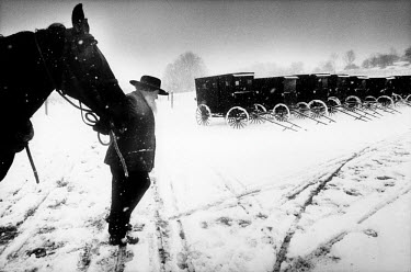 A snowy Sunday, the day of prayer for the Amish community. Families come to church by horse and carriage. After putting out the horses, they complete the last part of the journey on foot.