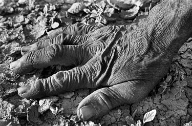 A farmer's hand, with wrinkles to testify to his advancing age, rests on the dry soil of the fields around the village of Bounessa. The great drought of the 1970s and 80s remains in the memory of the...