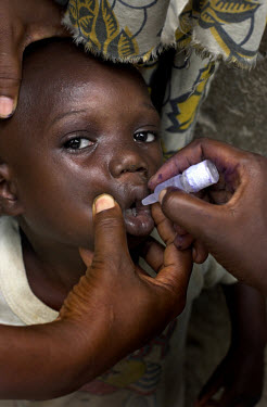 A child receives a dose of the polio vaccine. Health officials are trying to vaccinate as many children as possible after several states lifted their ban on the vaccine.
