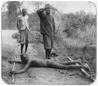 Man being flogged with a chicotte (posed picture) by a Congo State soldier.   The Belgian Congo under King Leopold II employed mass forced labour of the indigenous population to extract rubber from th...