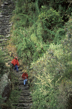 Inca staircase near Winay Wayna, Machu Picchu.