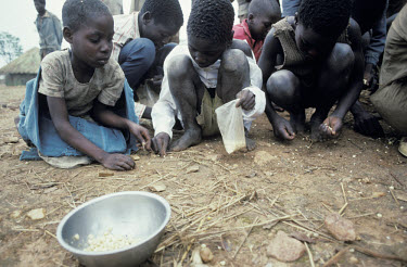 Children scavenging in the dust for food.