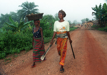 Cocoa farmers Cecilia Nyame and her daughter Lucy Boakyewa walk to their farm. The villagers of Domebra sell part of their crop under a fair trade initiative, which not only pays the farmers a fixed...