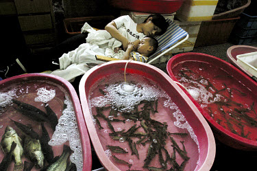 Mother and child asleep in a fish market.