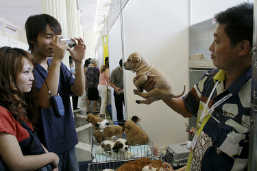 A young couple photograph a puppy at the 7th Asian Pet exhibition in Shanghai's main exhibition centre.