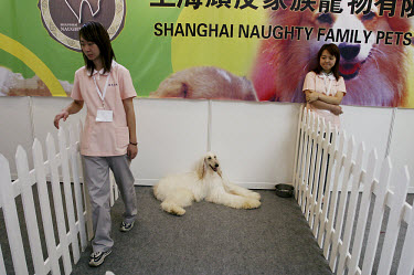 Two women at the 7th Asian Pet Exhibition  in  Shanghai's main exhibition centre.
