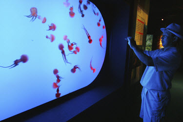 A man photographs jellyfish in an aquarium.