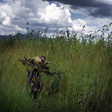 A woman carrying wood to her home. The elephant grass offers cover to LRA (Lord's Resistance Army) fighters who often attack the local population.
