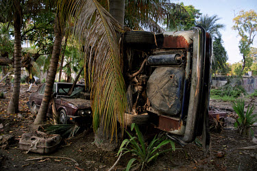 Destroyed cars against a palm tree. Three weeks after tropical storm Jeanne hit Gonaives parts of the city are still flooded. Over 2700 people were reported dead or missing. Haiti is particularly vuln...