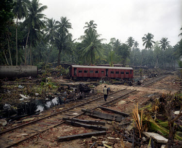 The wreckage of a coastal train, the 'Queen of the Sea', which was derailed by the tsunami which struck South Asia on 26/12/2004. Over 1,000 people were killed in what is believed to be the world's wo...