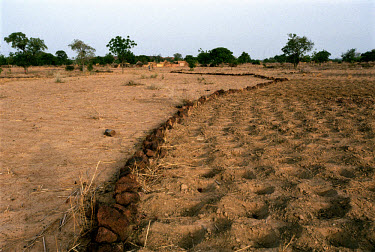 Farmers in Tanlili practise two techniques to protect the land against erosion - zai and small dykes. The dykes are traced along the level line in order to prevent rain water from rapidly flowing off...