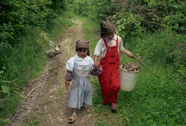 Roma gypsy sisters Danka (4) and Maria Horvathova (9) return from the forest with wood for their stove.