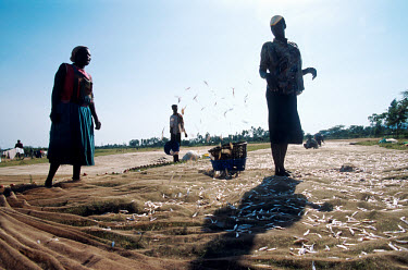 Women drying fish in the sun at Alara beach on Lake Victoria.
