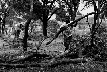 A young family have just arrived and are clearing land to build a house in an area known to be a minefield. The man with the branch is standing five metres away from the spot where a man was killed by...