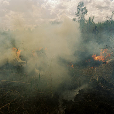 A villager burns the 'dambo', an irrigated vegetable garden, in order to get rid of weeds and vermin.   The village of Dickson contains 55 households and some 300 inhabitants. In 2005 photographer Jan...