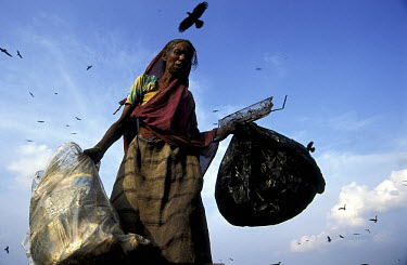 Woman collecting plastics on the Kajla rubbish dump.  It is one of three landfill sites in this city of twelve million people.   Around 5,000 tonnes of garbage are dumped here each day and over a thou...