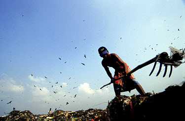 Man collecting rubbish at the Kajla rubbish dump.  It is one of three landfill sites in this city of twelve million people.  Around 5,000 tonnes of garbage are dumped here each day and over a thousand...