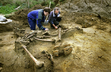 Amateur archeology group 'The Diggers' excavate human remains in a mass grave containing six bodies German soldiers who died in World War One (WWI). The Western Front, which was the site of numerous b...