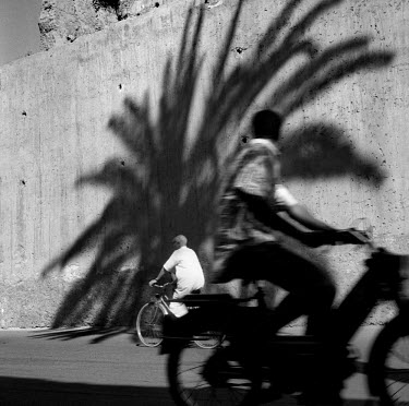 A cyclist and motorcyclist travel past a wall in the shadow of a palm tree.