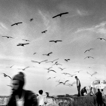 Seagulls fly overhead as fisherman gut their catch on the sea front.