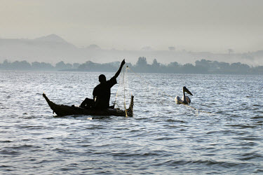 Man fishing from a boat in Lake Tana, the source of the Blue Nile where 86 percent of the Nile water originates.