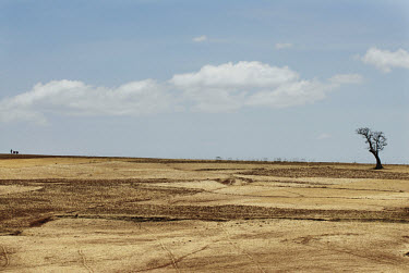 Dry farmland near Lake Tana. A severe drought has extended across East Africa after the rainy season expected in October 2005 failed to arrive. Most rural dwellers in the southernmost area of the coun...