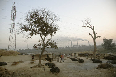 A farm containing cattle is overlooked by power lines and an electricity power plant, in an area where there has been an influx of developments in the energy sector.