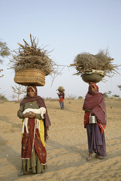 Women gathering firewood in the Thar Desert, which has been suffering from a drought for the last eight years. As the drought continues, firewood and fodder for animals has become increasingly scarce....